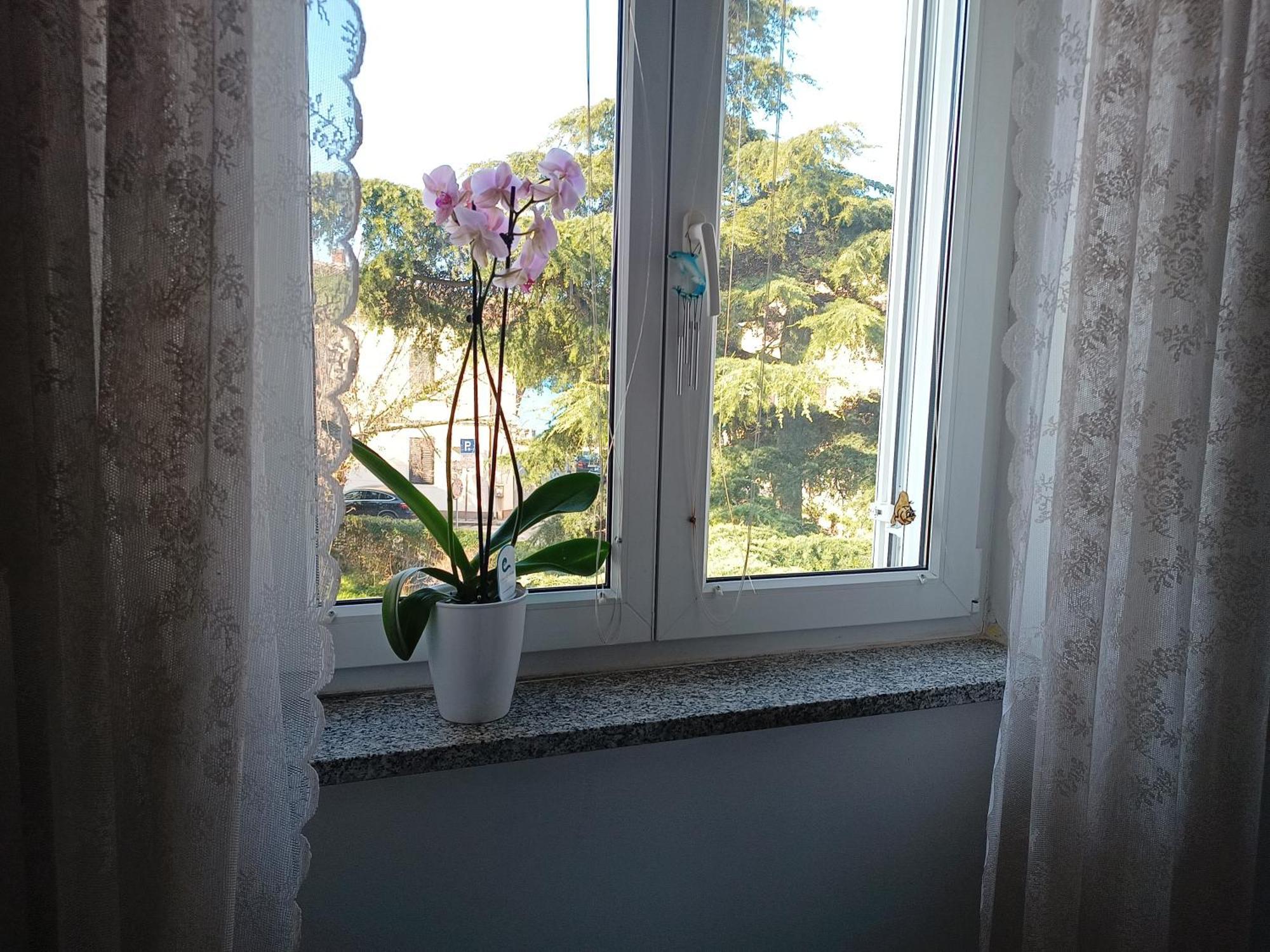 Apartment Luka Fažana Eksteriør bilde